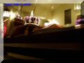 P8120010-web.jpg