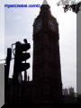 P8120042-web.jpg