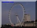 P8120045-web.jpg