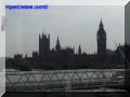 P8120046-web.jpg