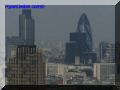 P8120054-web.jpg