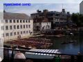 P8130068-web.jpg