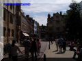P8130085-web.jpg