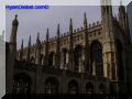 P8130093-web.jpg