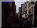 P8130102-web.jpg