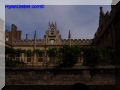 P8130103-web.jpg