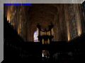 P8130110-web.jpg