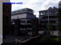 P8130121-web.jpg