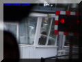 P8190067-web.jpg