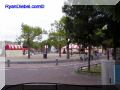 P8290068-web.jpg