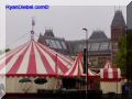 P8290070-web.jpg