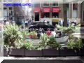 P8300035-web.jpg