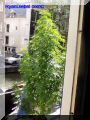 P8300039-web.jpg