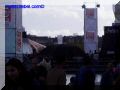 P8300089-web.jpg