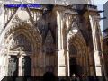 P9060013-web.jpg