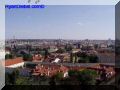 P9060067-web.jpg