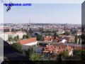 P9060068-web.jpg