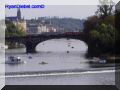 P9060133-web.jpg
