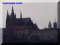 P9060180-web.jpg