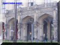 P9170018-web.jpg
