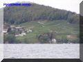 P9230074-web.jpg