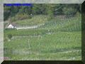 P9230086-web.jpg