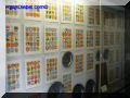 P9230118-web.jpg