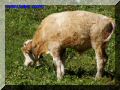 P9250026-web.jpg