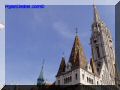 P9270016-web.jpg