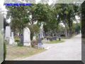 PA010055-web.jpg