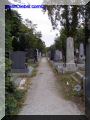 PA010062-web.jpg