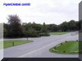 PA010072-web.jpg
