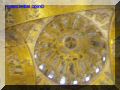 PA050119-web.jpg
