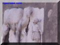 PA060010-web.jpg