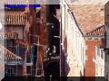 PA060013-web.jpg