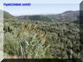PA100037-web.jpg