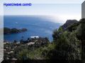 PA100038-web.jpg
