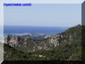PA100048-web.jpg