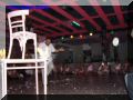 PA110035-web.jpg