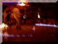 PA110039-web.jpg