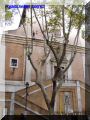 PA180016-web.jpg