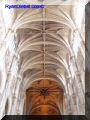 PA310105-web.jpg