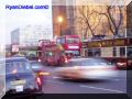 PB100041-web.jpg