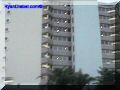 SAS--028-web.jpg