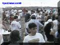 SAS--056-web.jpg