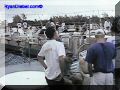 SAS--059-web.jpg