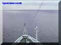SAS--095-web.jpg