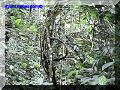 SAS--053-web.jpg