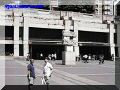 SAS--013-web.jpg