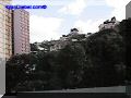 SAS--028-web.jpg